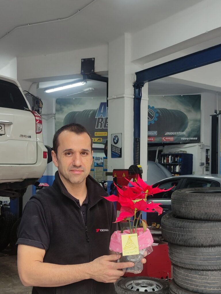 Taller Auto repair