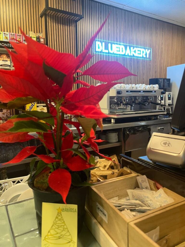Blue bakery