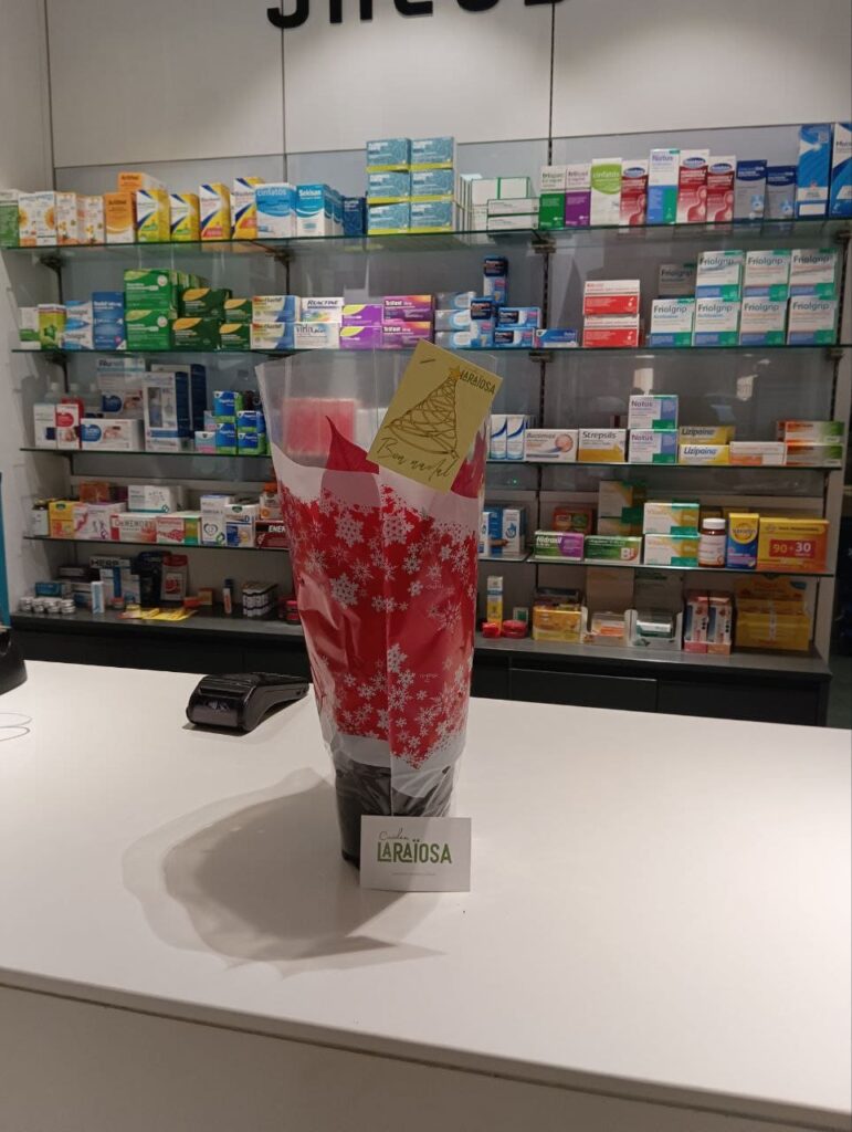 Farmacia S. Vicente