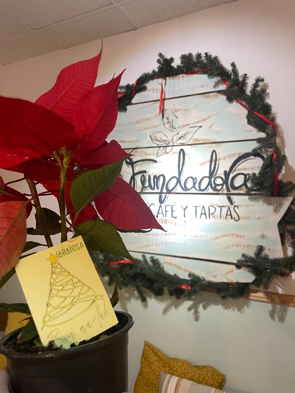 Flores de Pascua en La Raïosa