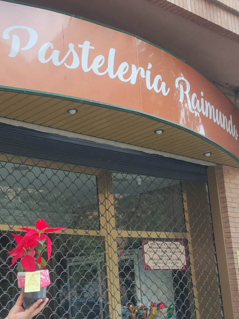 Horno-pastelería Raimundo