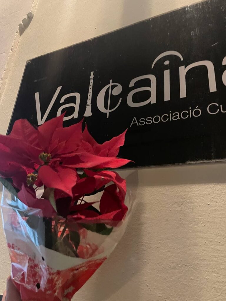 Valçaina Associació cultural